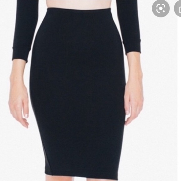 American Apparel Pencil Skirt - Picture 3 of 4